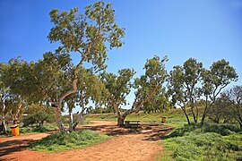 Lyndon Rest Area