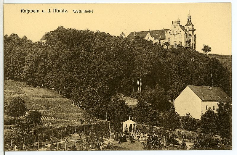 File:02422-Roßwein-1902-Wettinhöhe-Brück & Sohn Kunstverlag.jpg