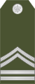 07-Montenegro Army-SSFC.svg