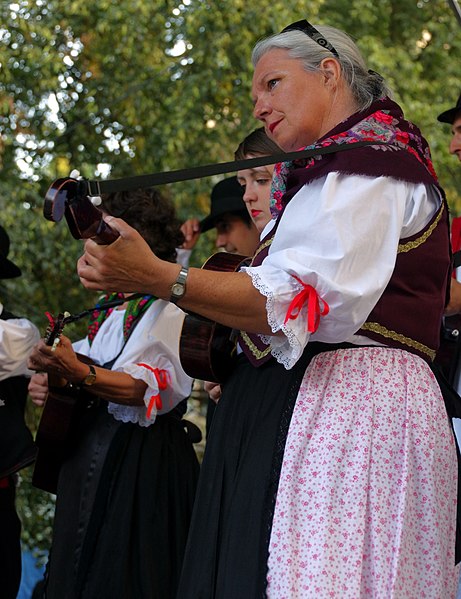 File:17.8.16 Pisek Folklore Festival Wednesday evening 043 (28772929140).jpg