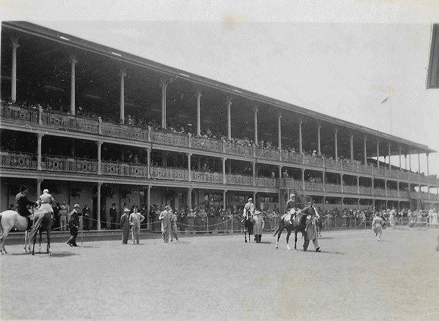 Members stand and enclosure in 1952.