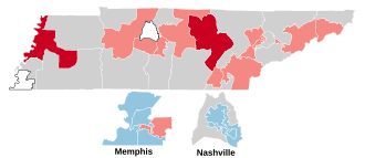 2014 Tennessee Senate election.svg