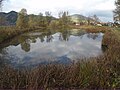 Namenloser Teich in Mündungsnähe