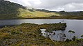 Cradle Mountain, Rundweg am Dove Lake