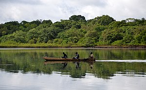 Guinea-Bisáu: Historia, Gobierno y política, Organización territorial