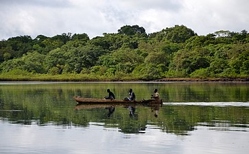 Photographie couleur d'une forêt tropicale en bord d'un cours d'eau sur lequel navigue une pirogue.