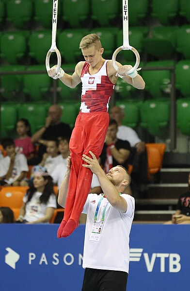 File:2019-06-27 1st FIG Artistic Gymnastics JWCH Men's All-around competition Subdivision 3 Still rings (Martin Rulsch) 014.jpg