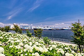 20190625-IMG 5405.jpg