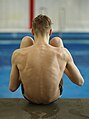 * Nomination B-Final Men at the 48th Hallorenpokal in diving in Halle (Saale) on 4 February 2023. By User:DerHexer --Augustgeyler 18:16, 19 May 2023 (UTC) * Promotion  Support Good quality and use of perspective. --多多123 18:45, 19 May 2023 (UTC)