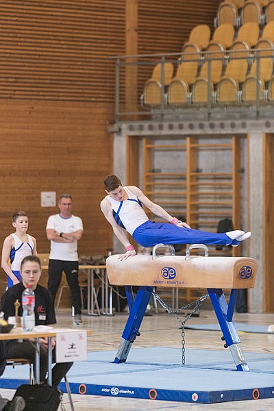 File:24th Rheintalcup 2019-04-13 Alan Laasner (Norman Seibert) - 07097.jpg