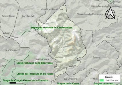 Carte de la ZNIEFF de type 1 sur la commune.