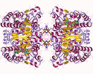 <span class="mw-page-title-main">Tartrate dehydrogenase</span>