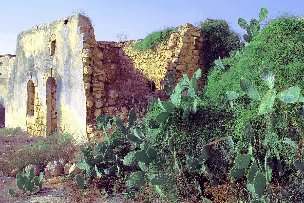 Ruins in the Town of Qaffin, Tulkarm Governorate Photograph: Shadi abdallah CC-BY-SA-3.0