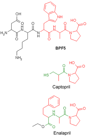 Inhibiteur De L'enzyme De Conversion