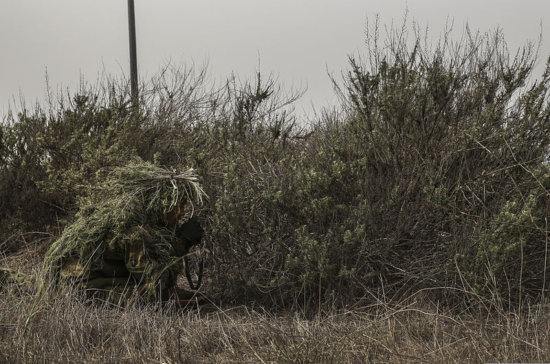 File:A Japan Ground Self-Defense Force (JGSDF) soldier observes his target while conducting a stalk exercise with the U.S. Marine Corps' 1st Marine Division Schools at Camp Pendleton, Calif., Feb. 11, 2014, during 140211-M-ST621-180.jpg