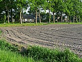 View on agriculture landscape with fields in sunlight of late afternoon, Laaghalerveen, May 2012; photo, Fons Heijnsbroek