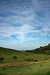 Leigh farmland