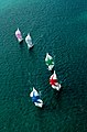 Aerial view of "Sunfish" sailboats- Key West, Florida (8472583303).jpg