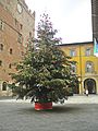 Piazza del Comune