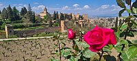 Vignette pour Enceinte de l'Alhambra