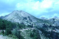 Montagna Arenta - Evrytania, Grecia - 03.jpg