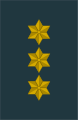 Belgijos armijos kapitono antpetis