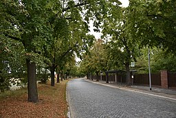 Aschersleben Schmidtmannstraße ND Lindenallee 04