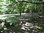 Aubazines Puy Pauliac cromlech.JPG