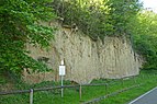 Digestion in the loess "Freienstein" ND Stuttgart No. 81110001201.jpg