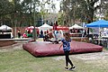 Mechanical Bull