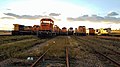 A group of BNSF locomotives in the sunset, including most of BNSF's paint schemes.