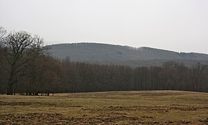 View over the Kleefrischewiese to the Bear Mountain in winter