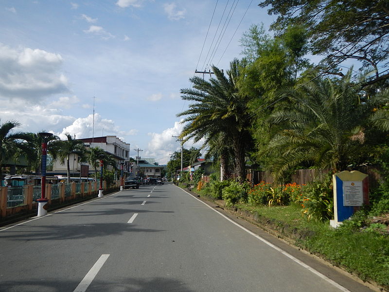 File:BaletePark,Lipa,Batangasjf0512 08.JPG