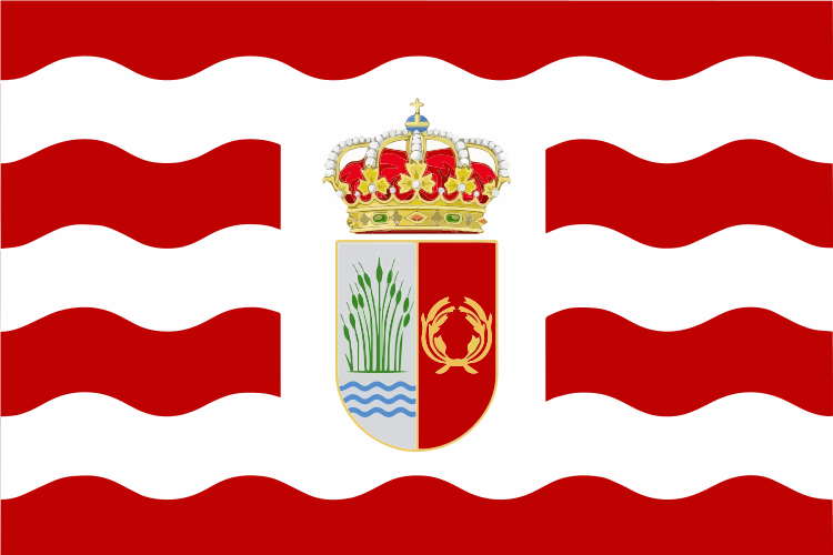 Bandera de Yuncler.svg