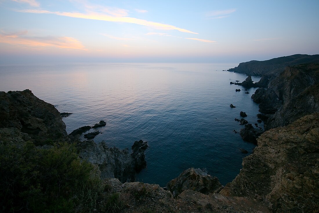 Reserva Natural Marina de Cervera - Banyuls