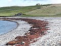 Beach and holiday cottage at Westing - geograph.org.uk - 3470127.jpg