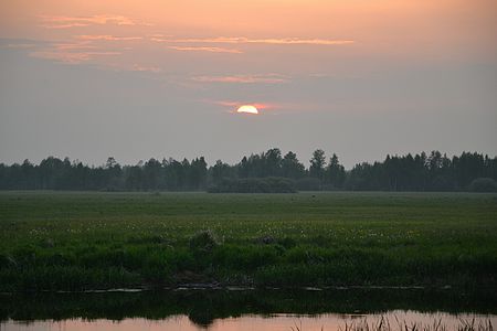 Biebrza National Park, Poland