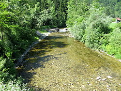 Bocna Slovenia - Dreta River.JPG