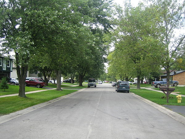 A typical neighborhood street in Bolingbrook
