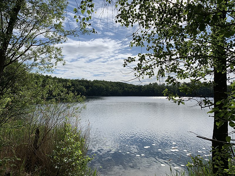 File:Brühl Untersee Blick nach Südosten.jpg