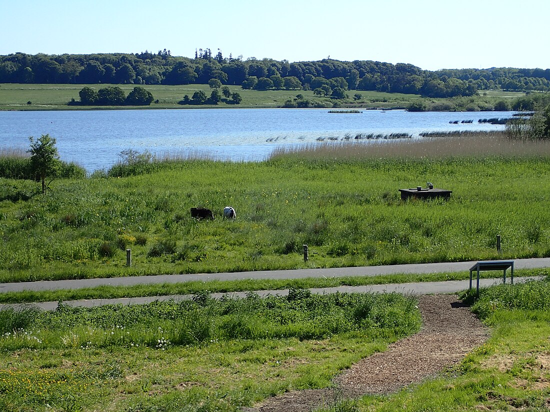 Brabrand Lake