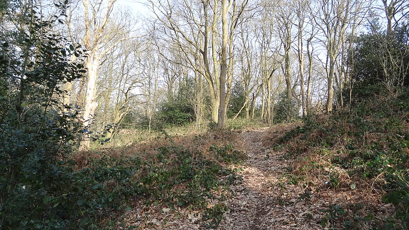 File:Bramley Bank 7.JPG