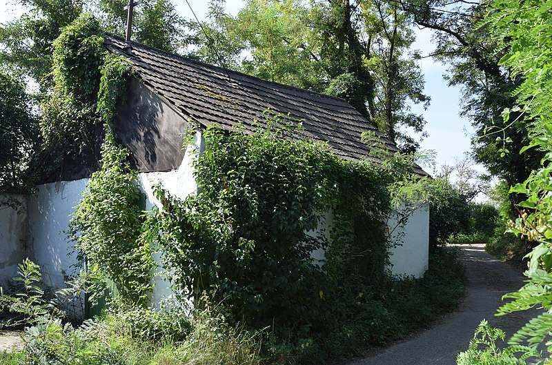 File:Breitenwaida Kellergasse bei der Kirche 22.jpg