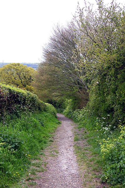 File:Bridleway to Bembridge Airport - geograph.org.uk - 1937943.jpg