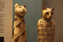 Wealthy Ancient Egyptian families would mummify their treasured pets, believing that the spirit would travel with them to the afterlife. British museum, Egypt mummies of animals (4423733728).jpg