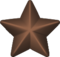 Bronze-service-star-3d.png 1658
