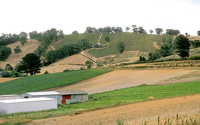 Image: CSIRO Science Image 4094 Vineyards and mixed farming in the Adelaide Hills South Australia 1992 (cropped)