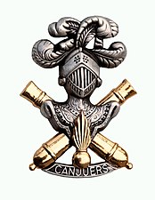 Insigne du camp de Canjuers, l'un des principaux centres d'entraînement de l'arme blindée et cavalerie, héritière de l'artillerie spéciale. Son design rappelle l'insigne de l'« AS » : heaume sur canons croisés.