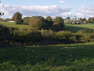 <span class="mw-page-title-main">Brealeys</span> Village in Devon, England