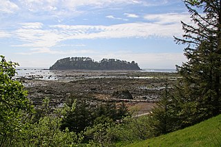 Cape Alava Cape in Clallam County, Washington, U.S.